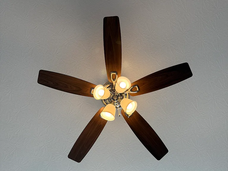 Family room ceiling fan