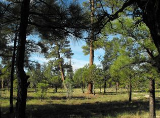 2929 Cedar Ridge Cir, Happy Jack, AZ 86024