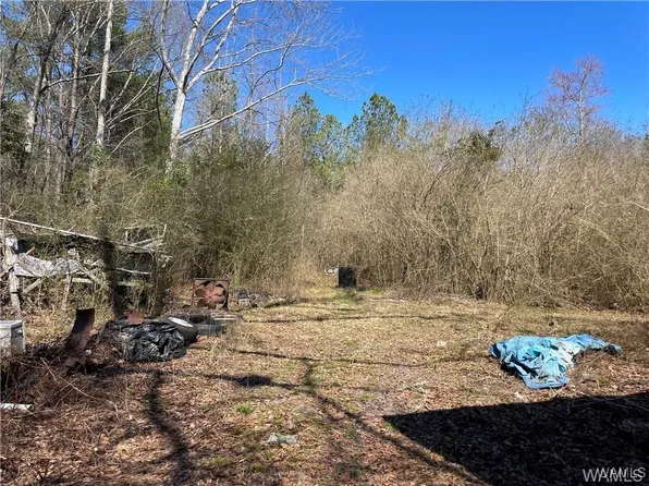 7975 Ray Bass Rd, Gordo, AL 35466