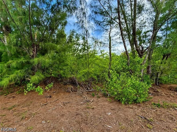 12370 Sherwood Rd, Bokeelia, FL 33922