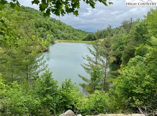 115 Cherrybrook Ln, Beech Mountain, NC 28604