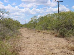 0 County Road 284 Rd, Benavides, TX 78341