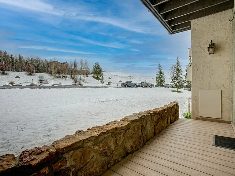 1317 Turning Leaf Ct #ID1564273P — Photo 14