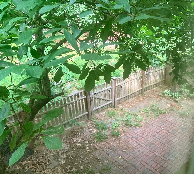 Smithfield Ct — Photo 6