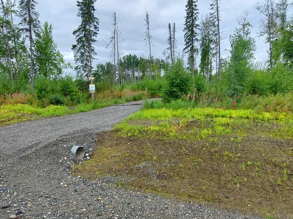 31318 S Salmon Alley St, Talkeetna, AK 99676
