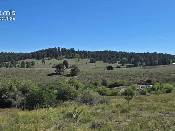 99 Uintah Ridge Rd, Florissant, CO 80816
