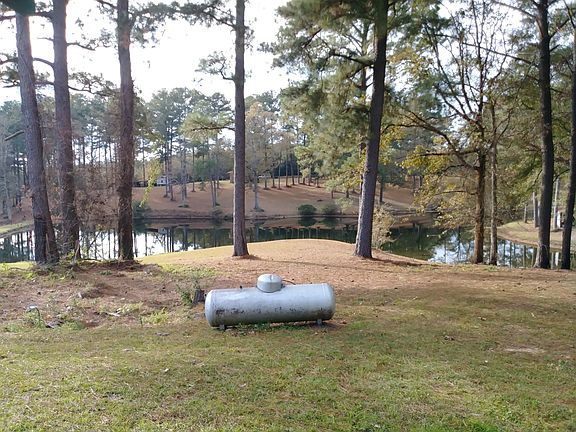 neighbors pond/backyard view