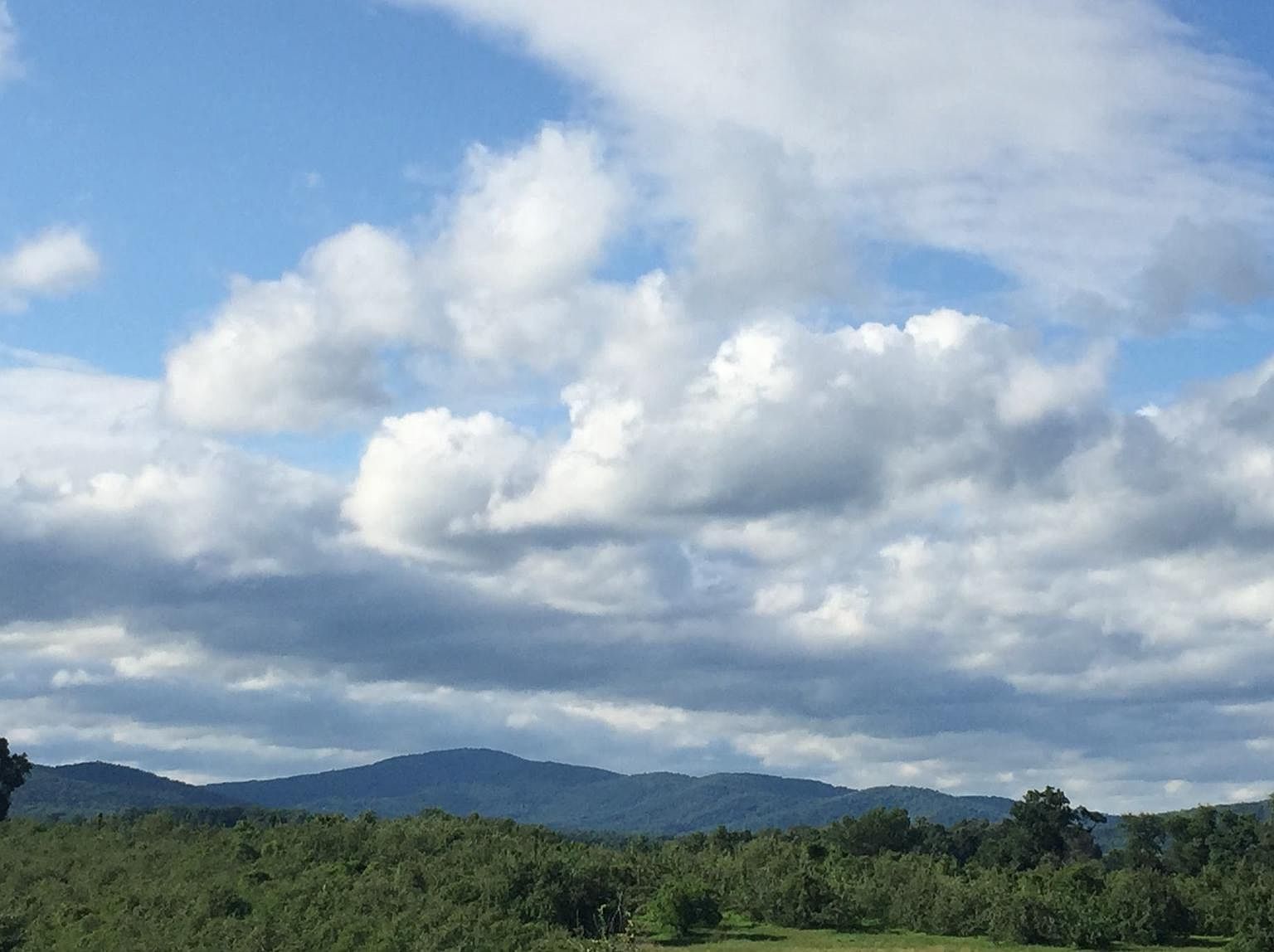 Fodderstack, Flint Hill, VA 22627 MLS VARP2001108 Zillow