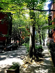 Rented by Abba Realty Associates INC