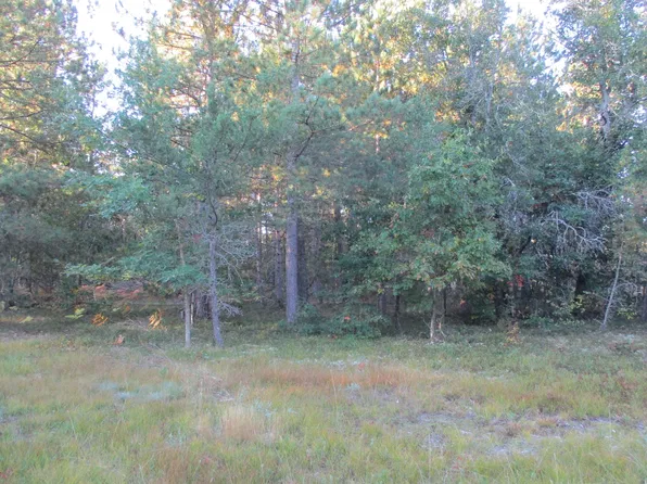 1540 S Stephan Bridge Rd, Grayling, MI 49738