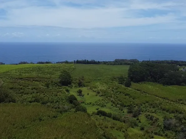 1 Three Private Rd Lot 1-3, Hakalau, HI 96710