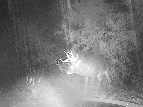 5th image of 0 Larkspur Ave