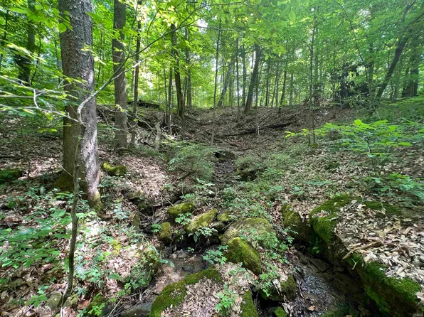 5276 N Blue Heron Rd, Solsberry, IN 47459