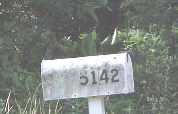 2nd image of 5142 Springhill Dr