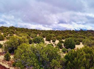 County Road 8256, Concho, AZ 85924