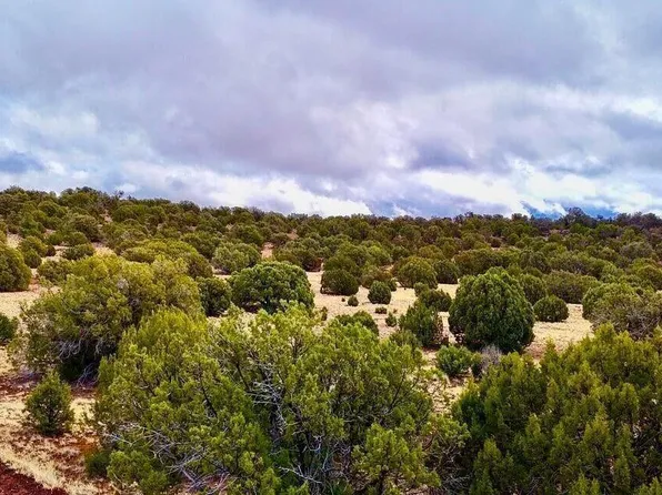 County Road 8256 Lot C, Concho, AZ 85924