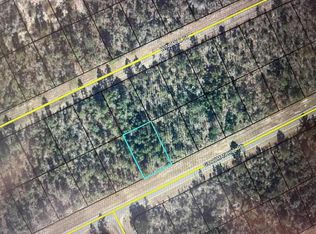 Goodman Hill Rd LOT 24, Chipley, FL 32428