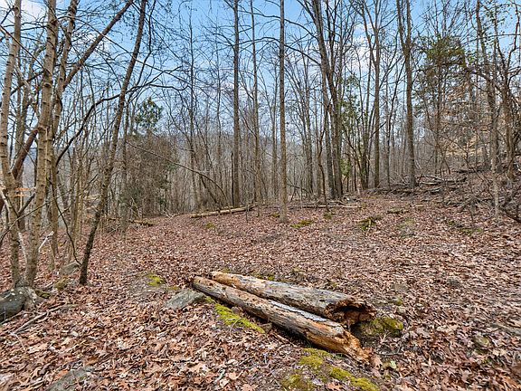 5th image of LOT 8 Raulstontown Rd