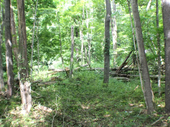 Woodrow Rd, Marlinton, WV 24954