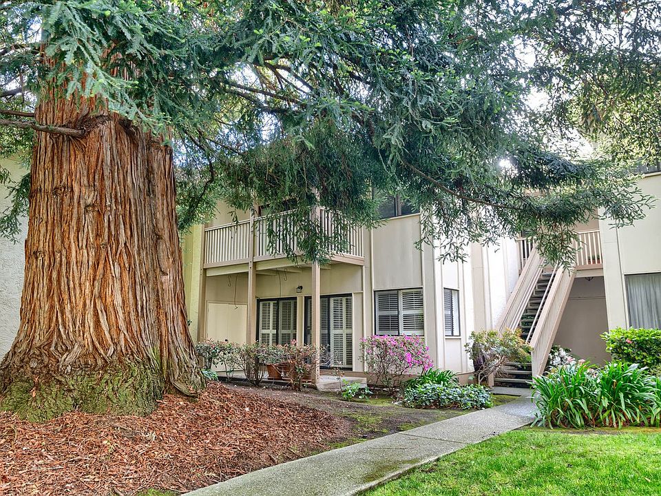 1st image of 50 Horgan Ave APT 7