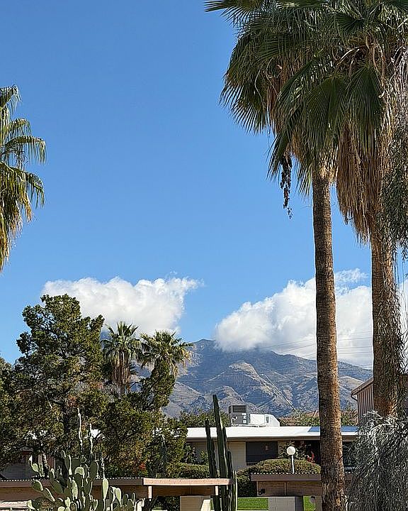 1st image of 5901 N Oracle Rd