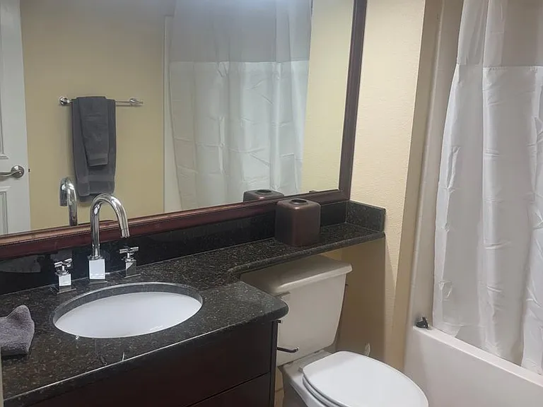 270 E Flamingo Rd #436 — Photo 31