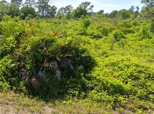 1521 Poinsettia Ave, Lehigh Acres, FL 33972