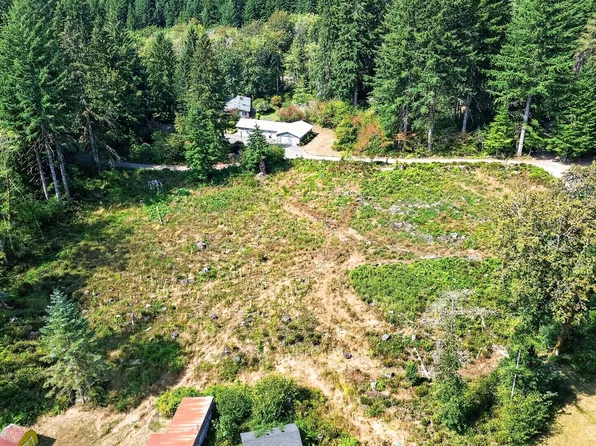 0 Dog Creek Rd, Cougar, WA 98616
