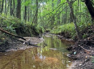 LOT 6 Pettit Rd, Jasper, GA 30143