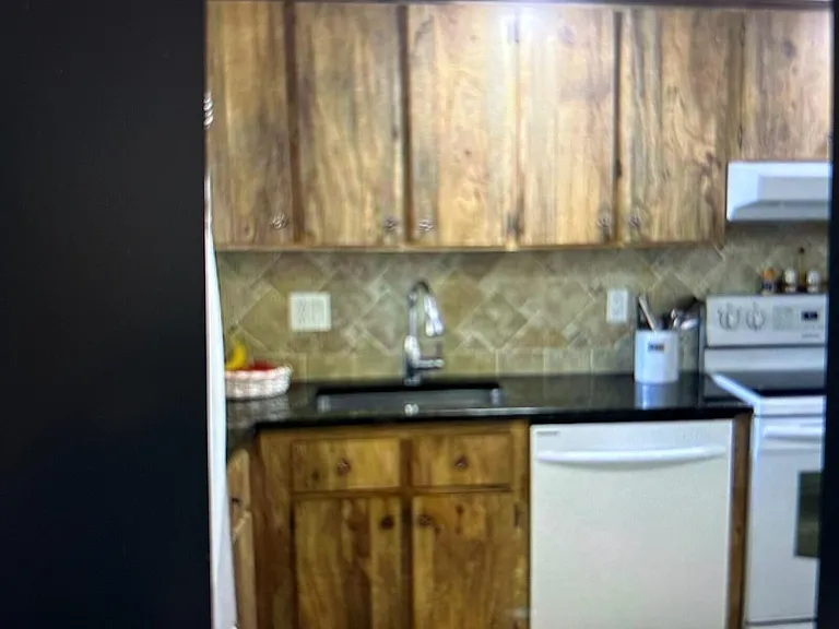 3212 Strawflower Way — Photo 9