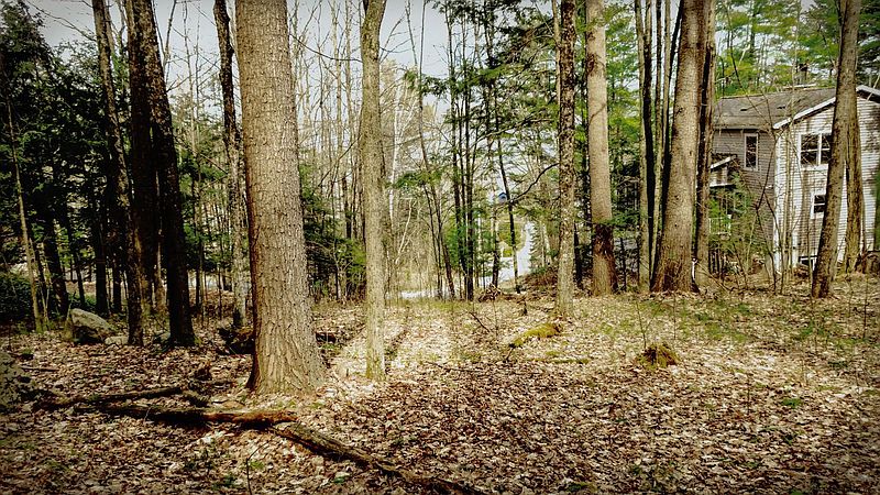 3rd image of 00 ROBINHOOD Drive