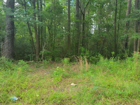 Tbd Hendersonville Street, Hamlet, NC 28345