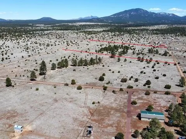 5308 N Red Mountain Rd, Williams, AZ 86046