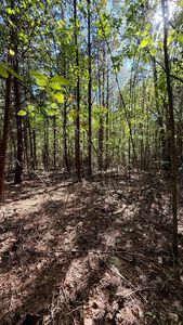 Oo Owl Hollow Rd Lot 9, Palmer, TN, 37365