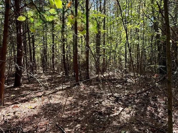 Oo Owl Hollow Rd Lot 9, Palmer, TN 37365