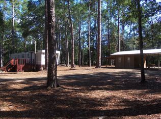 201 5th Ave NW, Steinhatchee, FL 32359