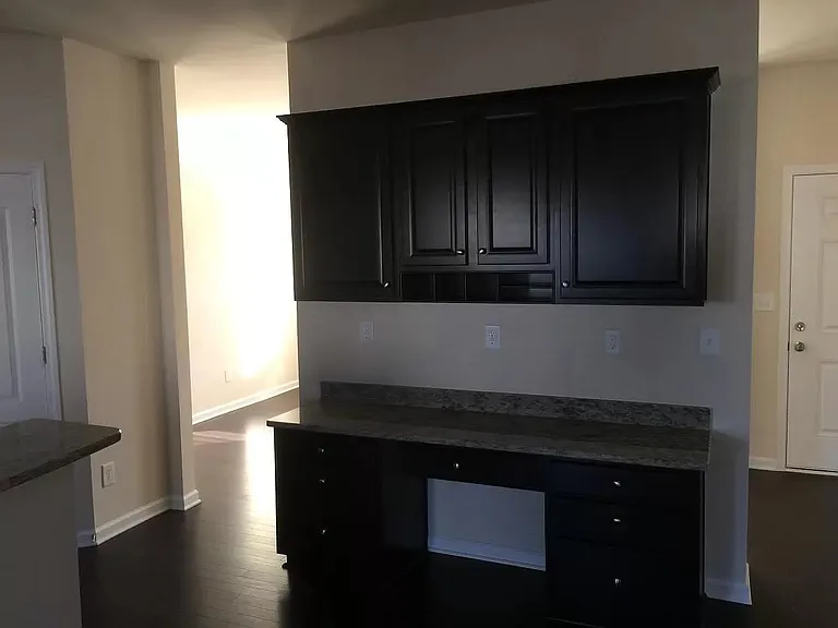 1009 Blue Stream Ln — Photo 6