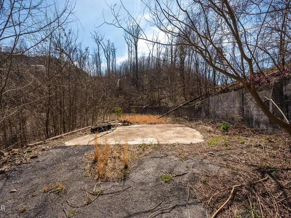 460 Forrest Springs Dr, Gatlinburg, TN 37738