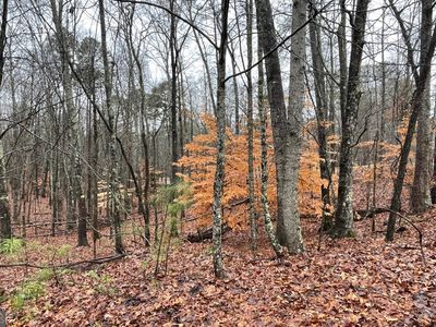 533 Eagle Mountain Dr W, Ellijay, GA, 30540