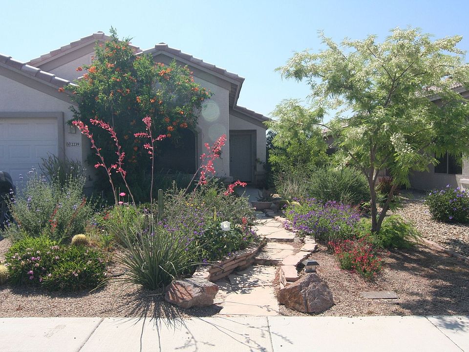 1st image of 2239 E Avenida Del Sol