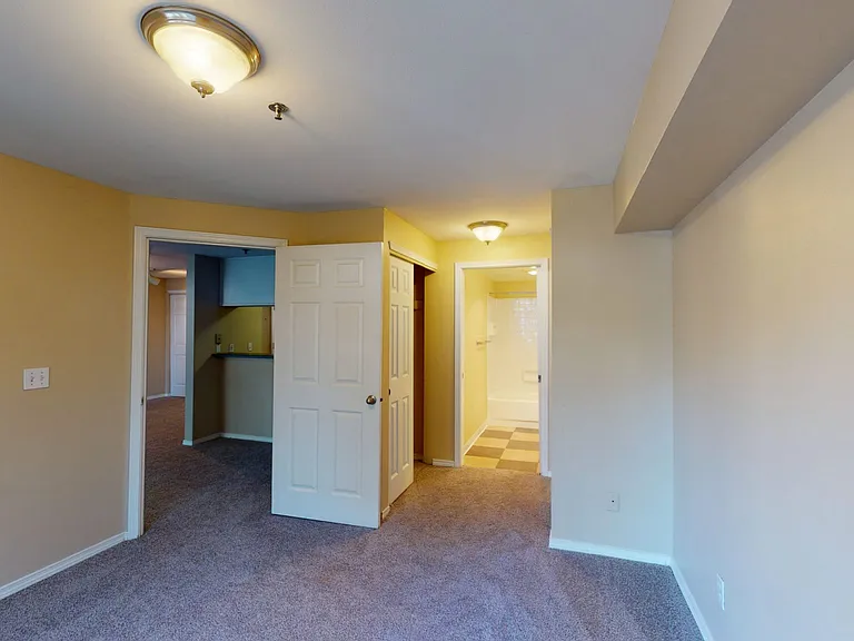 Spacious apartment bedroom with large closet and plush carpet flooring.