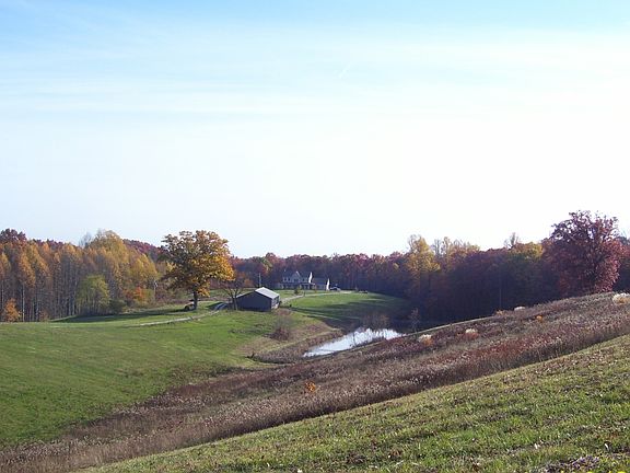 View from SW Property line