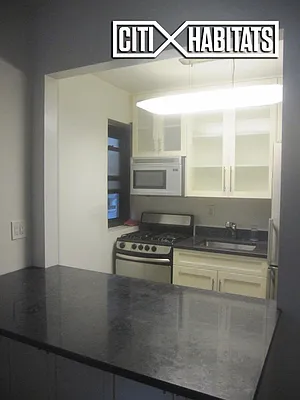 Rented by Citi Habitats | media 41