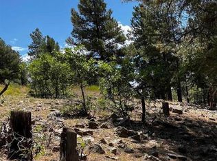 144 Woodridge Circle, Pagosa Springs, CO 81147
