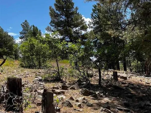 124 Woodridge Circle, Pagosa Springs, CO 81147