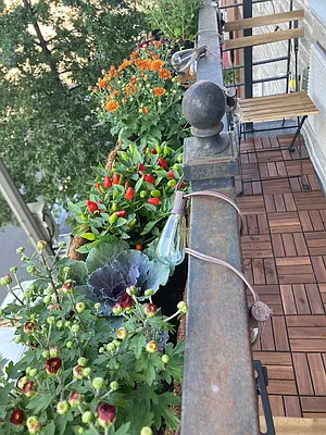 Rented by Oxford Property Group | media 17