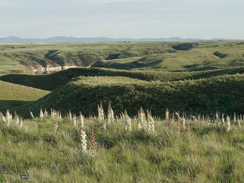 Nhn Morony Dam Rd, Great Falls, MT 59404 Zillow