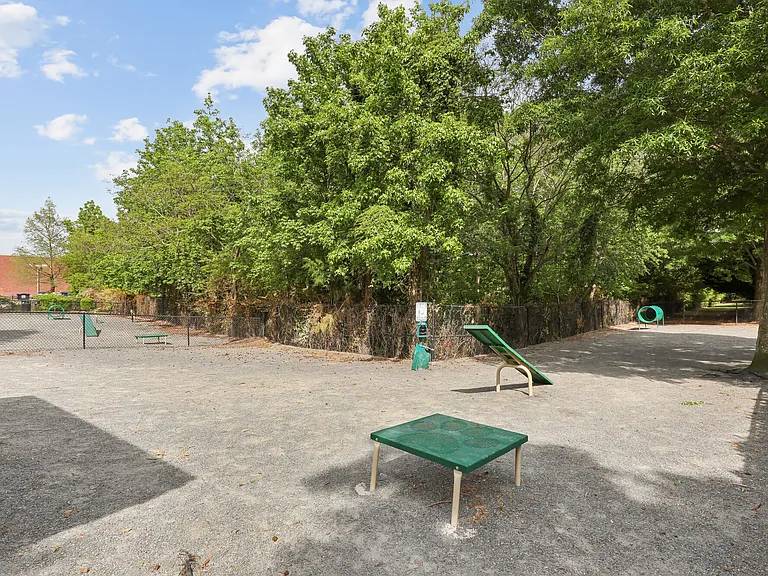 Banyan Grove — Photo 10