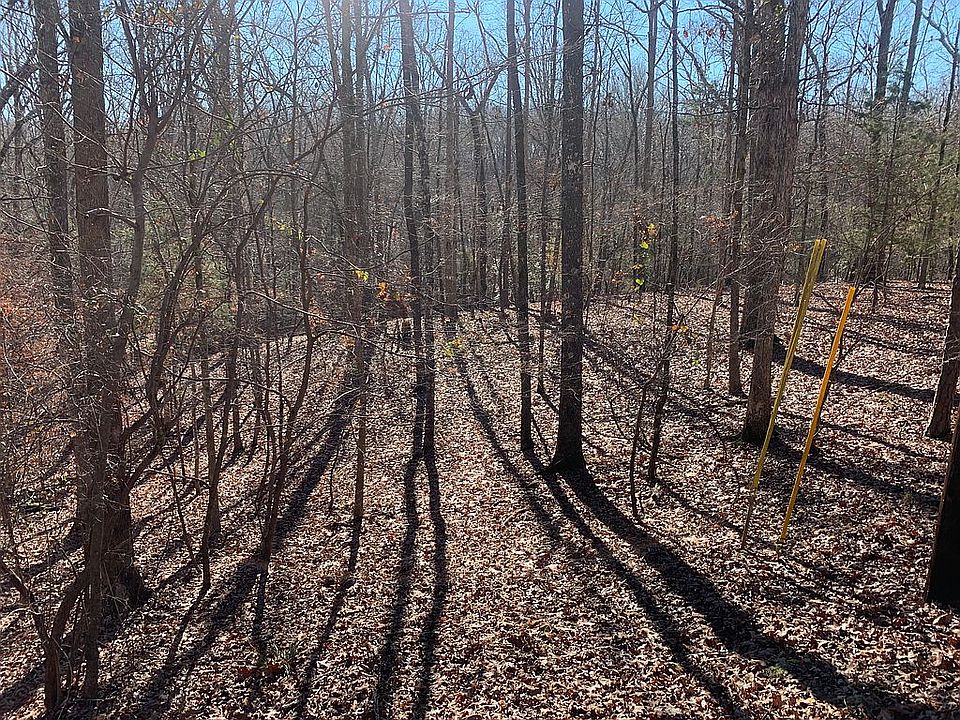 2nd image of 161 George Addy Rd
