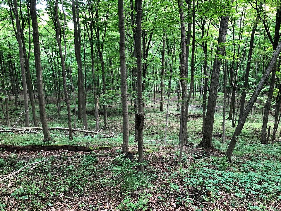 2nd image of 0 Valentine Rd